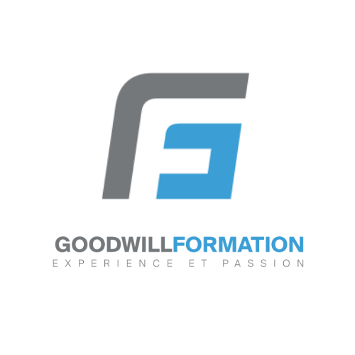 Dipl me F d ral D Expert e En Finance Et Controlling Goodwill Formation Dipl me F d ral D Expert e En Finance Et Controlling Goodwill Formation